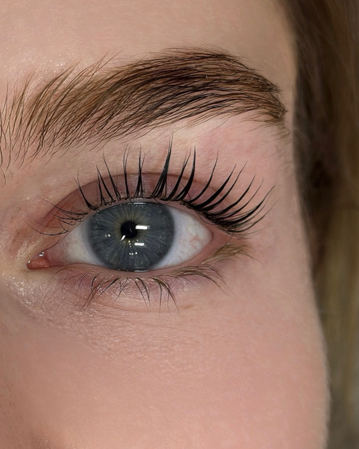 Presale Korean lash lift